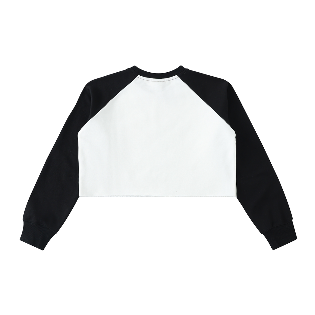 Vault Gallery Color-Block Cropped Sweatshirt