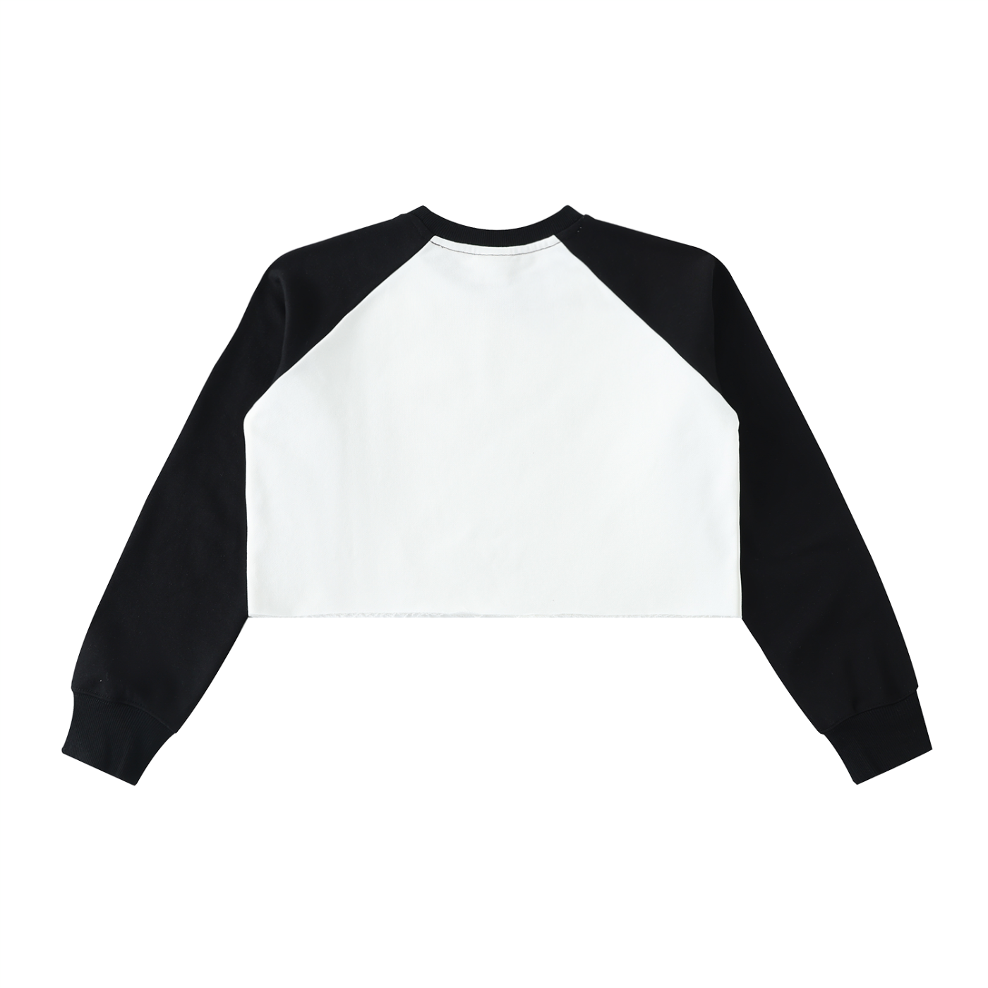 Vault Gallery Color-Block Cropped Sweatshirt