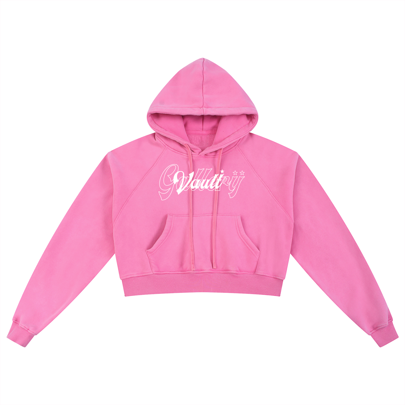 Vault Gallery Cropped Hoodie Pink