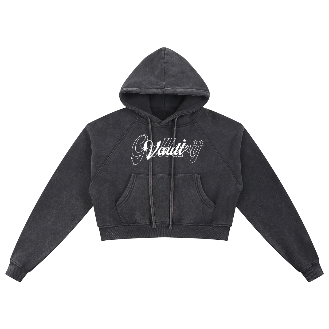Vault Gallery Cropped Hoodie Black