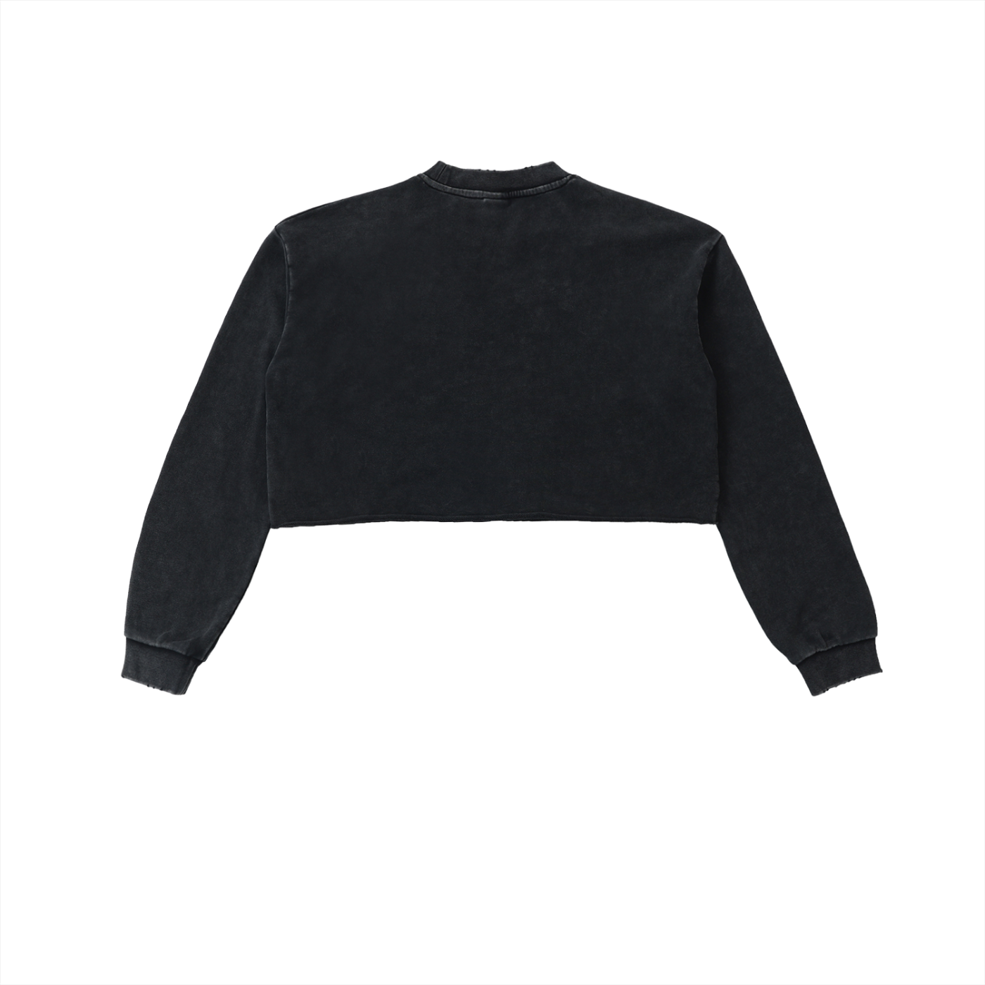 Vault Gallery Washed Cropped Sweatshirt