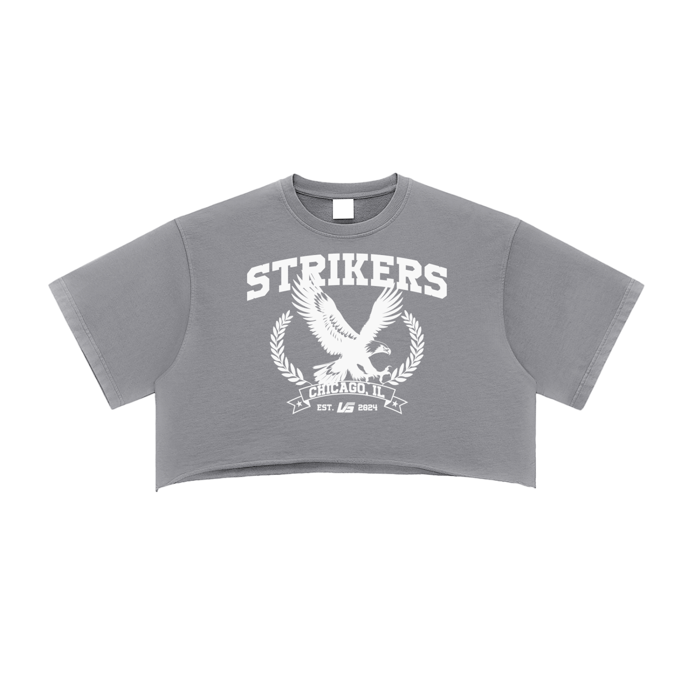 Strikers Crop Top - Washed Grey